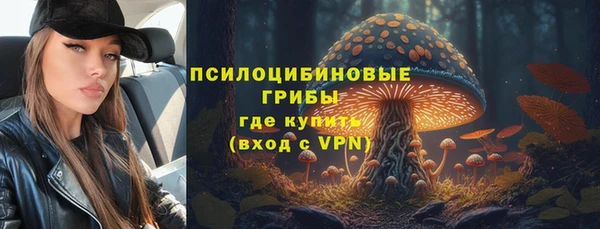 тгк Аркадак