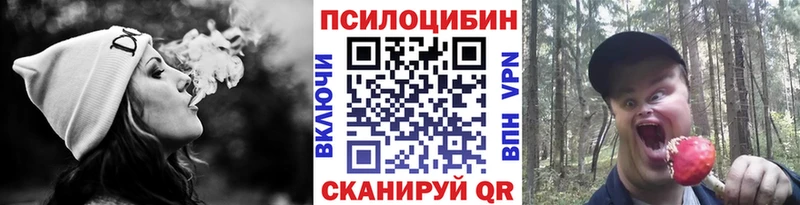 Псилоцибиновые грибы мицелий  ОМГ ОМГ онион  Пошехонье  дарнет шоп 
