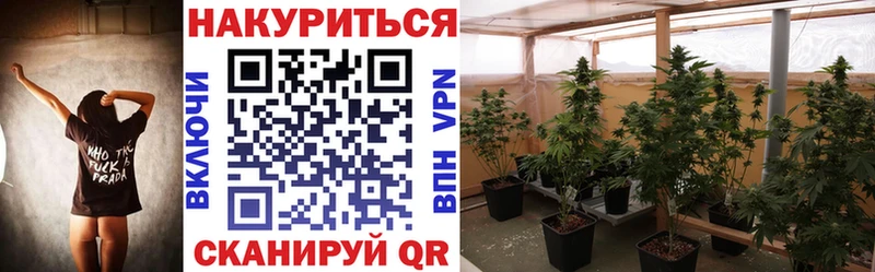 Шишки марихуана тримм  Пошехонье 